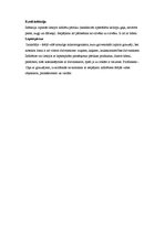 Konspekts 'Saindēšanās ar uzturu un zarnu infekciju slimības', 4.