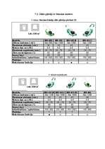 Referāts 'Zāles pļāvēju apskats un to salīdzinājums', 21.