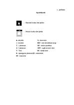 Referāts 'Zāles pļāvēju apskats un to salīdzinājums', 27.