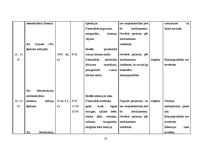 Prakses atskaite 'Aprūpes plāns ķirurģijā', 13.