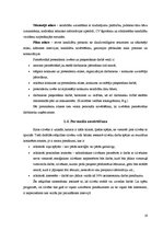 Diplomdarbs 'Personāla vadības stratēģija viesu namā "xxx"', 19.