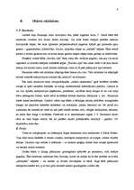 Referāts 'Eklektisms Rīgas arhitektūrā', 6.