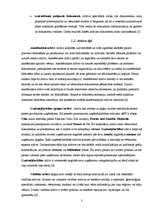 Referāts 'Arhīvi', 3.