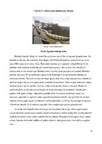 Referāts 'Ekskursijas maršruts "Pa kņazu Kropotkinu pēdām Siguldā"', 19.