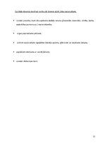 Referāts 'Ekskursijas maršruts "Pa kņazu Kropotkinu pēdām Siguldā"', 23.