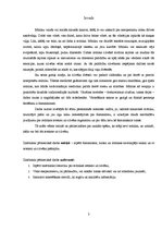 Referāts 'Šamanisms, transs un mūzika', 3.