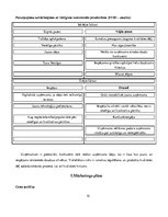 Biznesa plāns 'Biznesa plāns', 10.