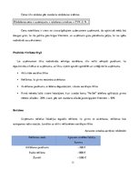 Biznesa plāns 'Biznesa plāns', 11.