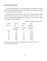 Biznesa plāns 'Biznesa plāns', 13.