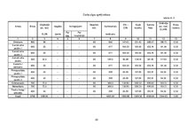 Biznesa plāns 'Biznesa plāns', 22.