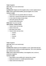 Konspekts 'Konspekts vizuālajā mākslā', 2.