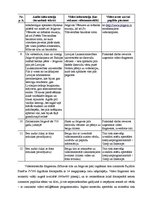 Paraugs 'Video faila veidošana', 3.