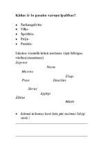 Konspekts 'Latviešu valodas pasaku burtnīca 3.klasei', 9.