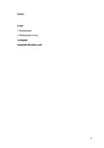 Referāts 'Merkantilisma prakses izvērtējums Latvijas teritorijā', 2.