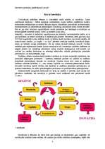 Referāts 'Inovatīvo produktu piedāvājums Latvijā', 3.