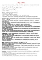 Konspekts '17.gadsimta kultūra', 1.