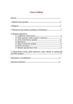 Referāts 'Valentīndiena', 2.