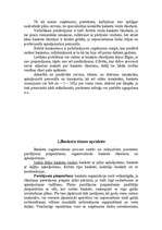 Referāts 'Valentīndiena', 4.