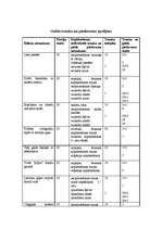 Referāts 'Valentīndiena', 16.