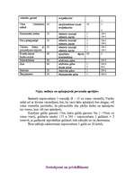 Referāts 'Valentīndiena', 17.