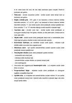 Referāts 'Latvijas nauda', 2.