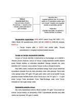 Konspekts 'Turcijas valsts pārvalde un starptautiskās attiecības', 4.