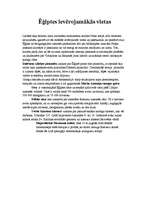 Referāts 'Ēģipte', 14.