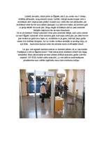 Referāts 'Ēģipte', 17.