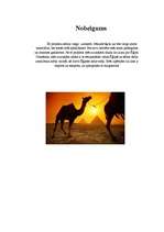 Referāts 'Ēģipte', 28.