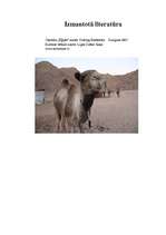 Referāts 'Ēģipte', 29.