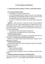 Referāts 'Nodarbinātība. Nodarbinātības politika', 23.