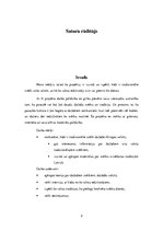 Referāts 'Dažādi svētki pasaulē', 2.