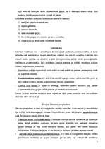 Konspekts 'Dinamiskie procesi mazajās grupās', 7.