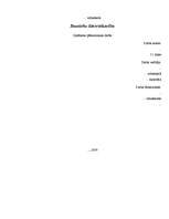 Referāts 'Jauniešu datoratkarība', 1.