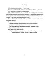 Referāts 'Jauniešu datoratkarība', 2.