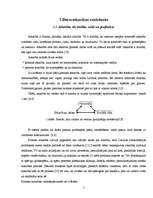 Referāts 'Jauniešu datoratkarība', 5.