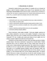 Referāts 'Jauniešu datoratkarība', 8.