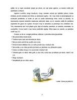 Referāts 'Jauniešu datoratkarība', 9.