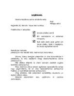 Biznesa plāns 'SIA "Letīcija"', 4.