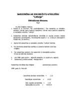 Biznesa plāns 'SIA "Letīcija"', 18.