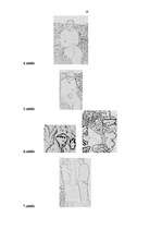 Referāts 'Ķermeņa valoda', 19.