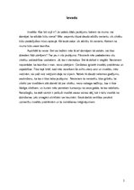 Referāts 'Sociālā darba procesi', 2.