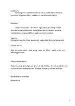 Referāts 'Sociālā darba procesi', 7.