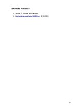 Referāts 'Sociālā darba procesi', 10.