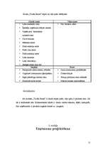 Referāts 'Jauna ēdināšanas uzņēmuma koncepcijas izstrāde', 12.