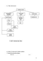 Referāts 'Jauna ēdināšanas uzņēmuma koncepcijas izstrāde', 13.