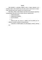 Referāts 'Organizācijas pastāvēšanas nosacījumi', 3.