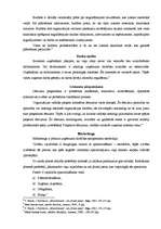 Referāts 'Organizācijas pastāvēšanas nosacījumi', 5.