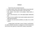 Referāts 'Organizācijas pastāvēšanas nosacījumi', 8.