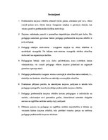 Referāts 'Pedagoga profesionālā karjera izglītības iestādē', 9.